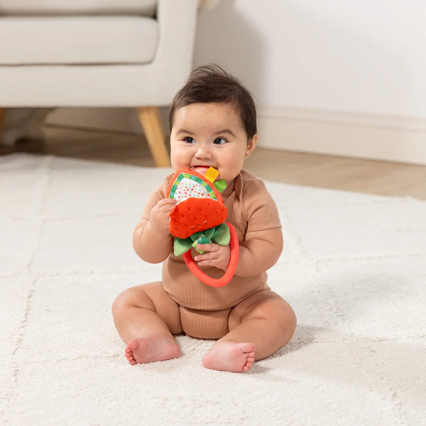 Peek-a-Boo Berry Take-Along Toy