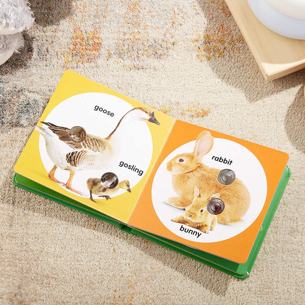 Farm Animal Families Poke a Dot Book