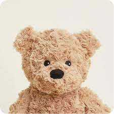 Cozy Plush Warmies-assorted