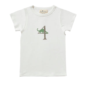 Dinosaur Birthday Shirts