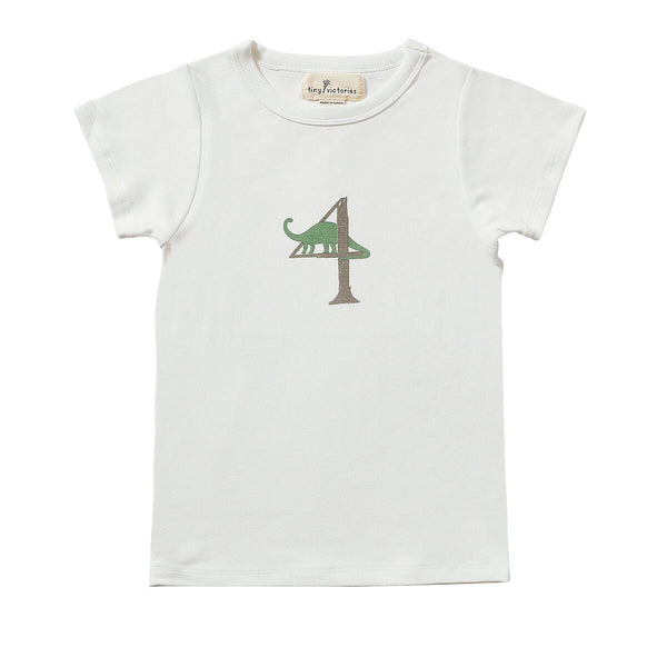 Dinosaur Birthday Shirts