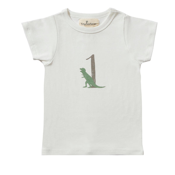 Dinosaur Birthday Shirts