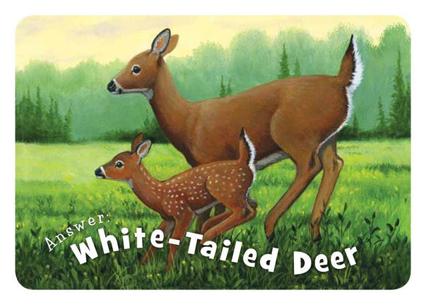 Sleeping Bear Press - Little Illinois board book