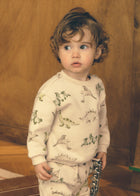 Dinosaur Sweatshirt