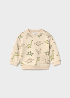 Dinosaur Sweatshirt