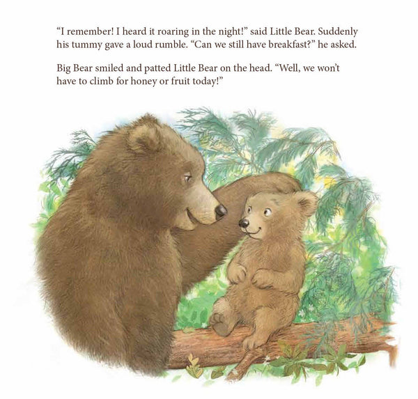 Sleeping Bear Press - When the Wind Blew Picture Book