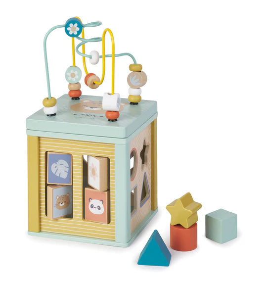 Multi-Activity Cube