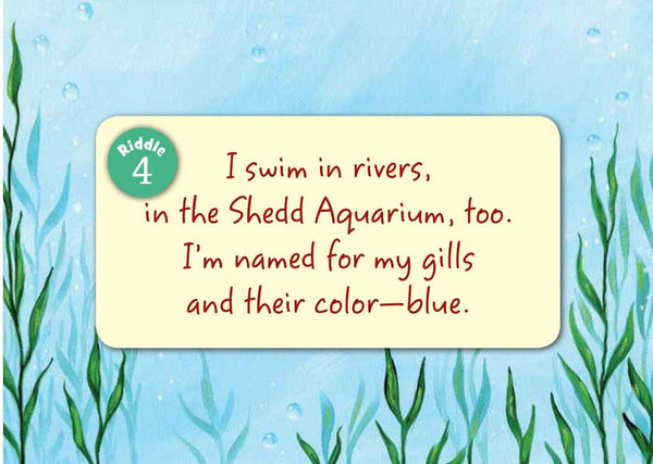 Sleeping Bear Press - Little Illinois board book
