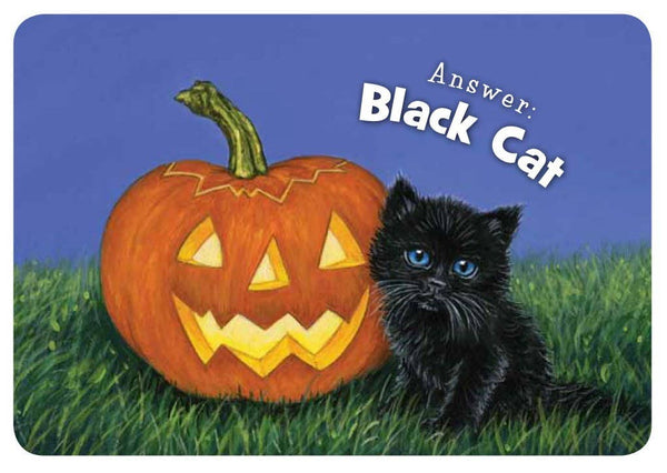 Sleeping Bear Press - Little Halloween Board Book
