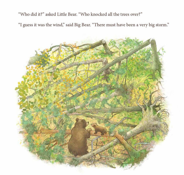 Sleeping Bear Press - When the Wind Blew Picture Book