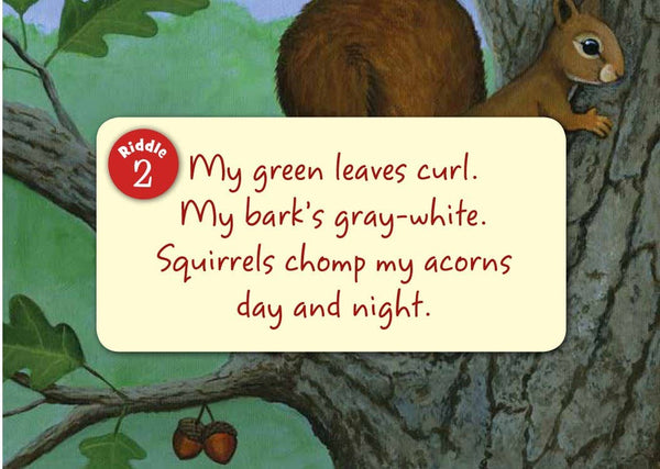 Sleeping Bear Press - Little Illinois board book
