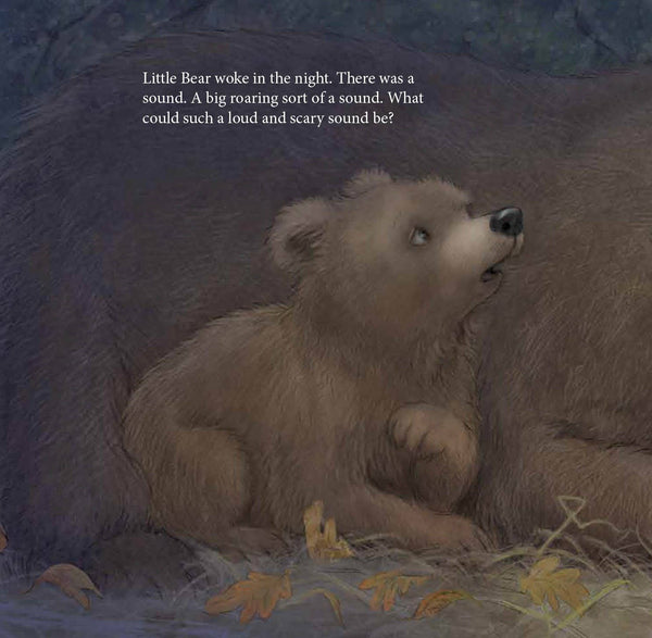 Sleeping Bear Press - When the Wind Blew Picture Book