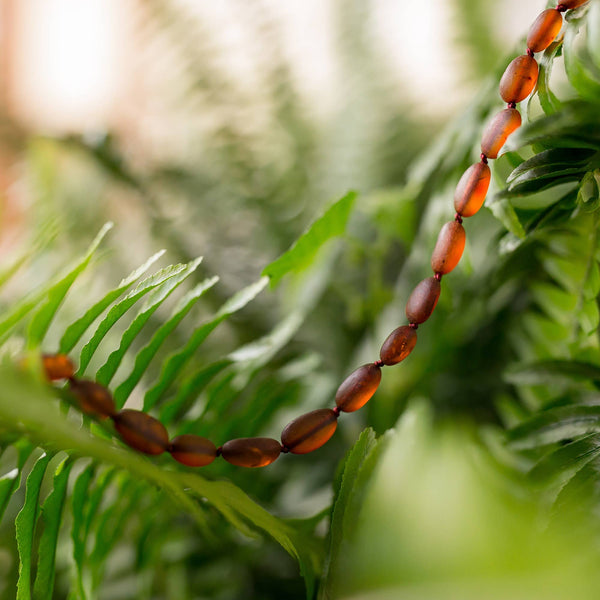 R.B. Amber Jewelry - Raw Cognac Bean Baltic Amber Necklace: Standard Hang Tag / 12-13 inches
