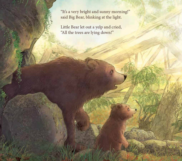 Sleeping Bear Press - When the Wind Blew Picture Book