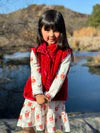 Santa Dress