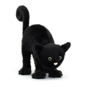 Spookiclaws Cat