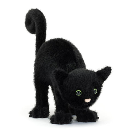 Spookiclaws Cat