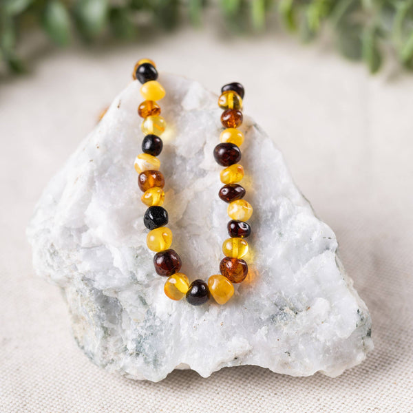 R.B. Amber Jewelry - Multi Baltic Amber Necklace: Standard Hang Tag / 12-13 inches
