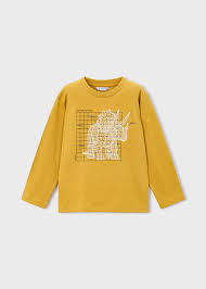 Dinosaur Shirt