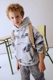 Grey Mountains Hoodie