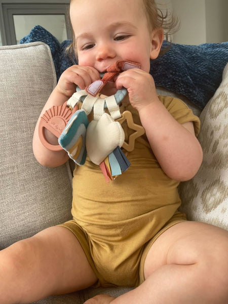 Itzy Ritzy - Bitzy Busy Ring™ Teething Activity Toy: Farm