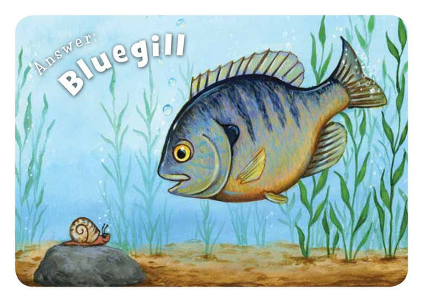 Sleeping Bear Press - Little Illinois board book