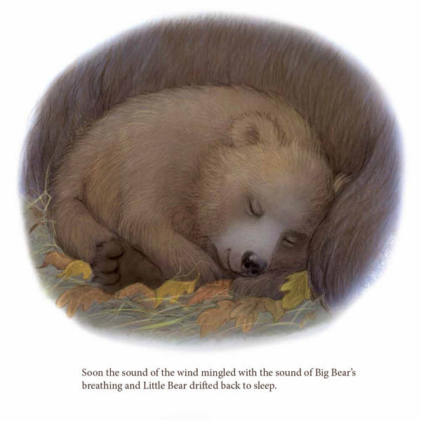 Sleeping Bear Press - When the Wind Blew Picture Book