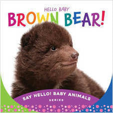 Hello Baby Brown Bear!