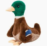 Desie Mallard Duck
