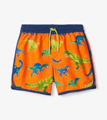 Colorblock Dino Swim Shorts