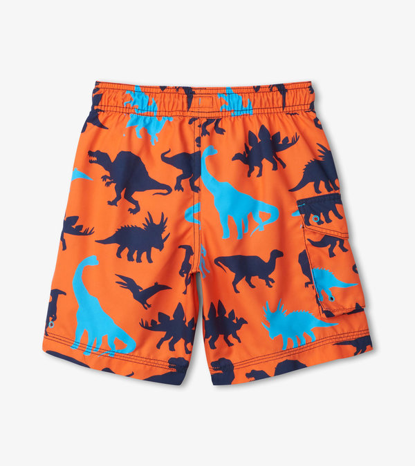 Dino Silhouettes Swim Board Shorts